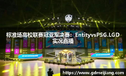 标准场高校联赛冠亚军决赛：EntityvsPSG.LGD实况直播